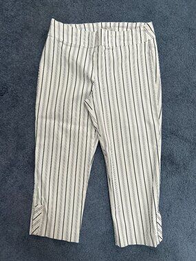 Women's Capris size 10 ~ Stretch ~ by Van Heusen